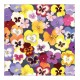 Pacote Com 20 Guardanapos De Papel 33x33cm Flower Shop